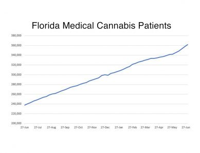 Public Companies Dominate The Rapidly Growing Florida Medical Cannabis ...